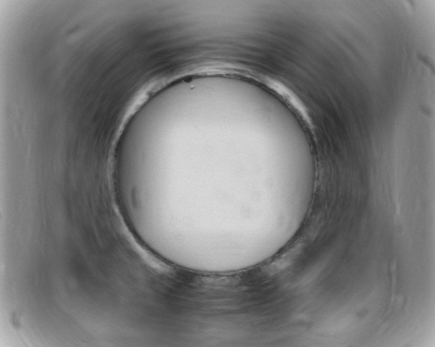 X0000095941429200801110845
