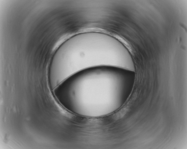 X0000095941430200801110845