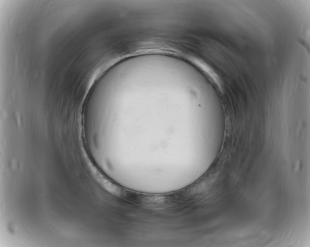 X0000095941431200801110845