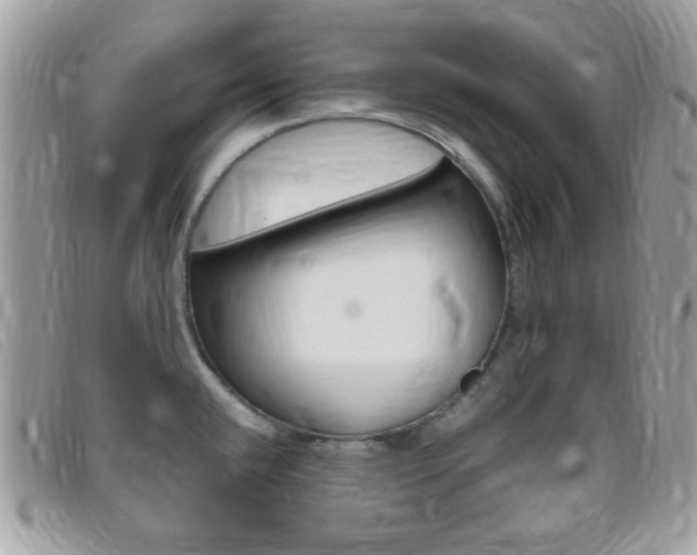 X0000095941432200801110845