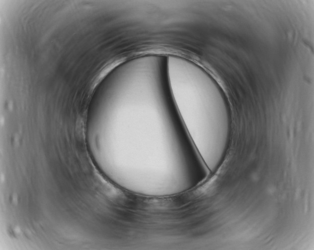 X0000095941433200801110845