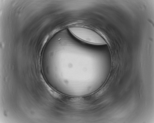 X0000095941434200801110845