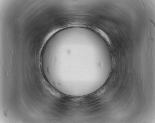 X0000095941435200801110845