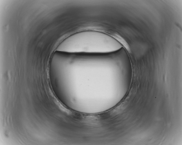 X0000095941436200801110845