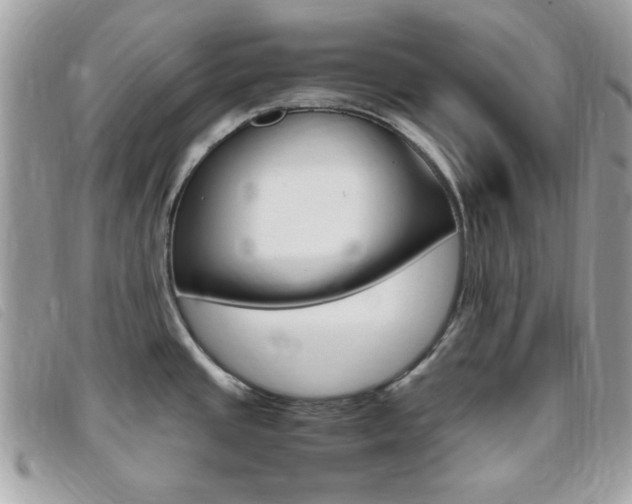 X0000095941437200801110845