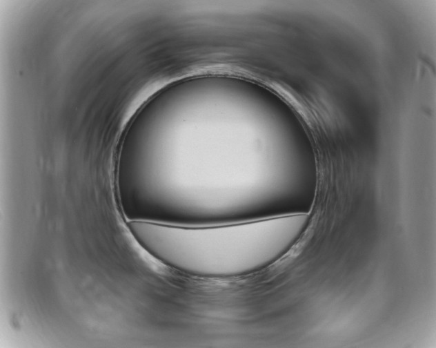 X0000095941438200801110845