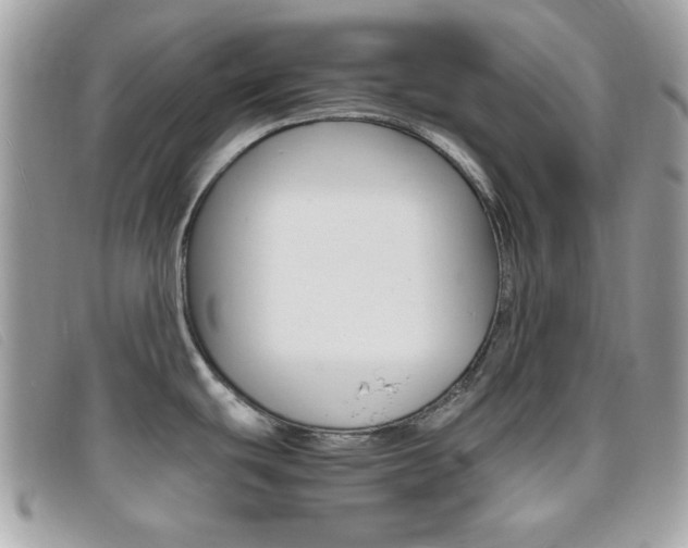X0000095941439200801110845