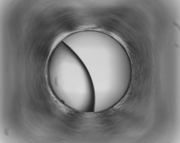 X0000095941440200801110845