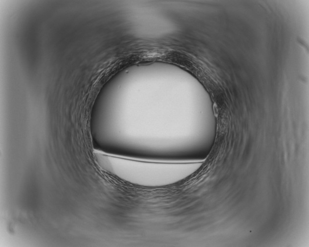 X0000095941441200801110844