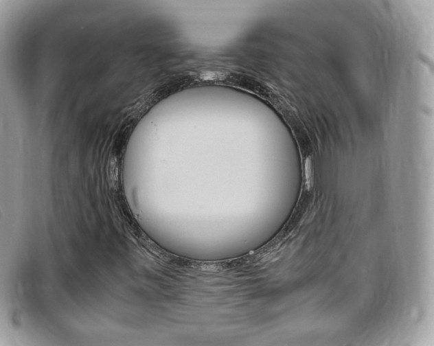 X0000095941443200801110844