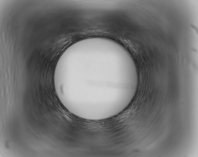 X0000095941444200801110844