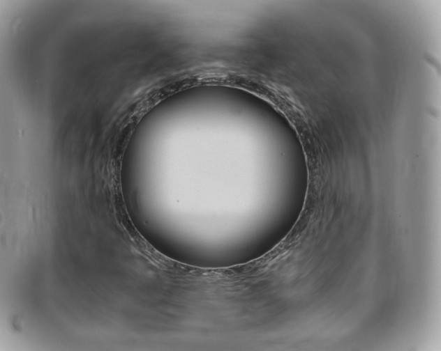 X0000095941445200801110844