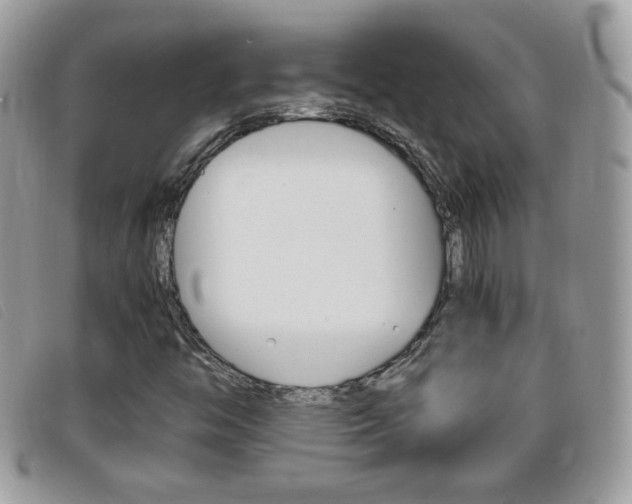 X0000095941446200801110844