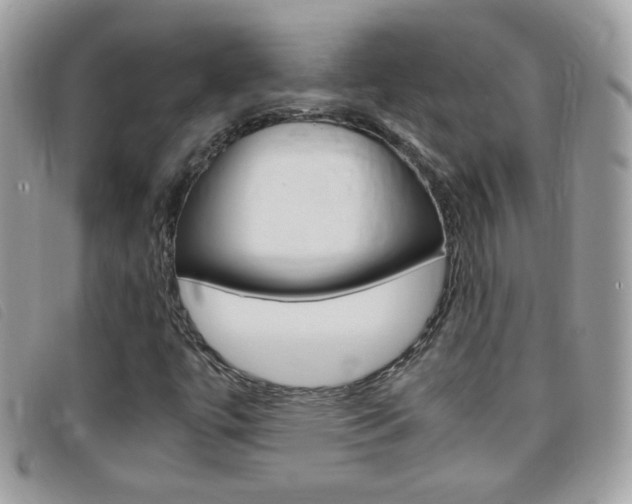 X0000095941447200801110844