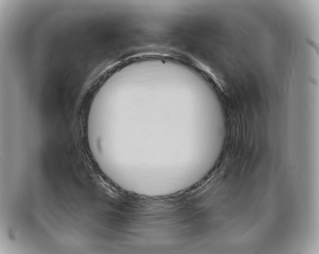 X0000095941448200801110844