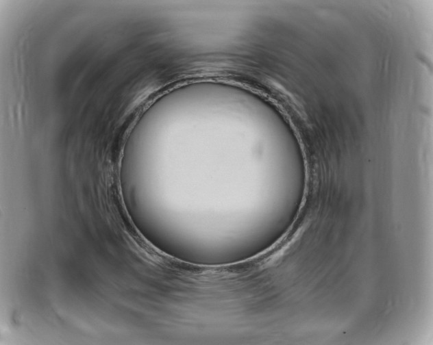 X0000095941449200801110844