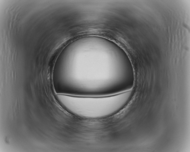 X0000095941450200801110844