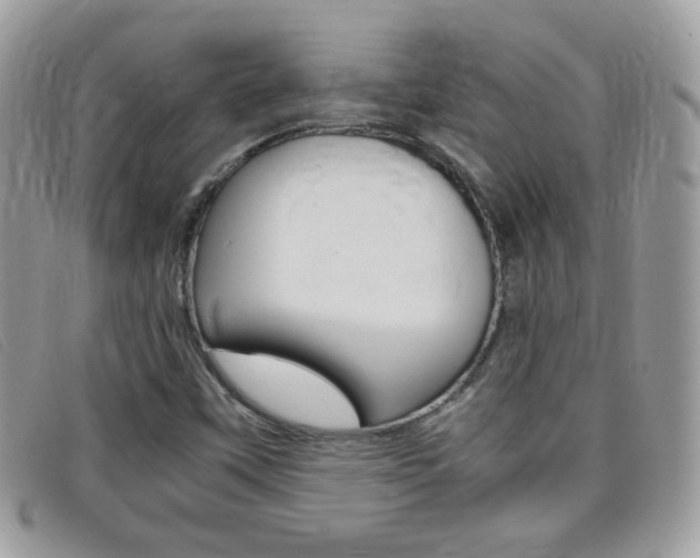 X0000095941451200801110844