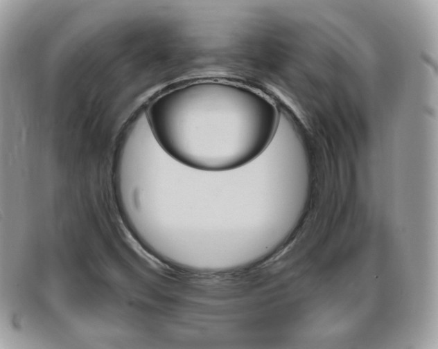 X0000095941452200801110844