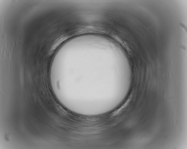 X0000095941453200801110844