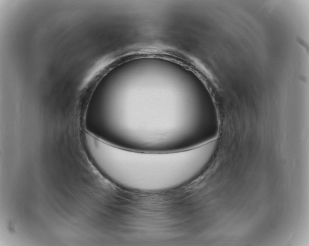 X0000095941456200801110844