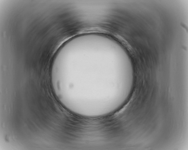 X0000095941457200801110844