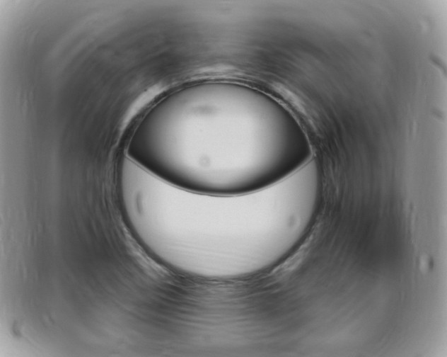 X0000095941458200801110844
