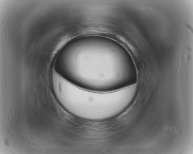 X0000095941459200801110844