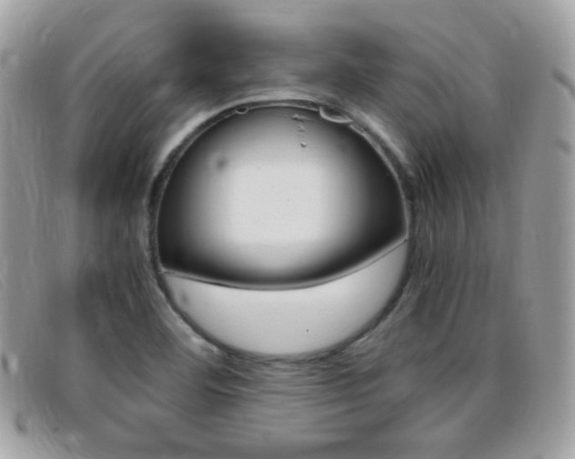 X0000095941460200801110844