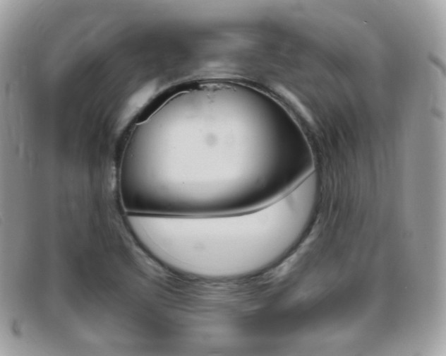 X0000095941461200801110844