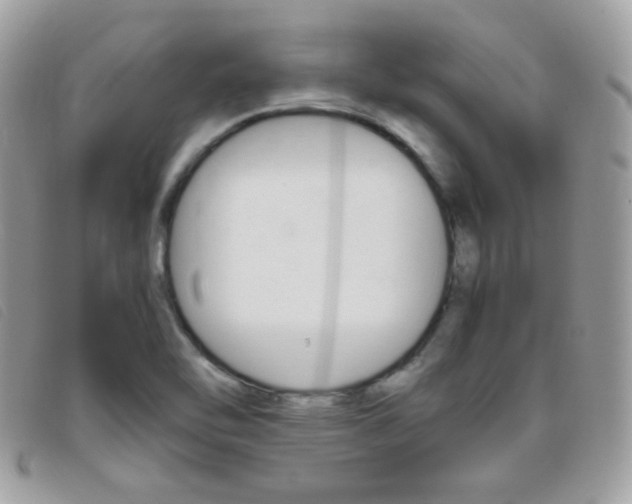 X0000095941462200801110844