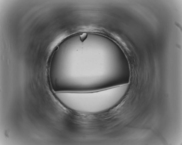 X0000095941463200801110844
