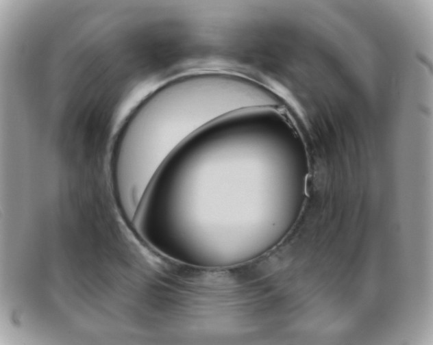 X0000095941464200801110844