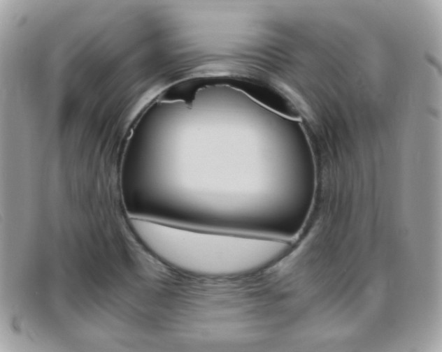 X0000095941465200801110844