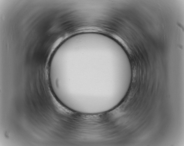 X0000095941466200801110844