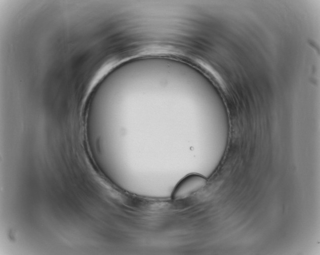 X0000095941467200801110844