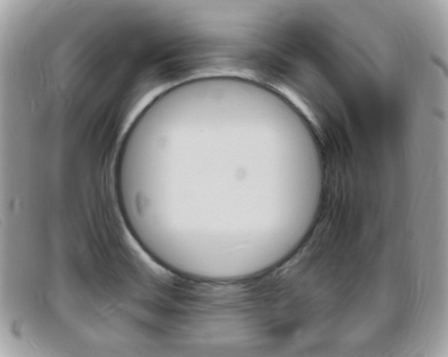 X0000095941468200801110844