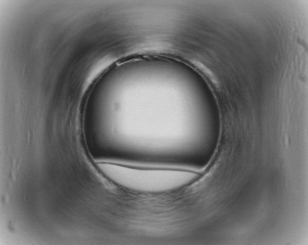 X0000095941469200801110844