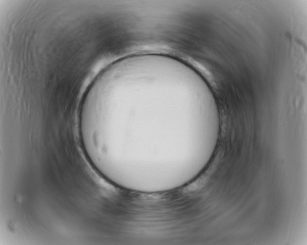 X0000095941470200801110844