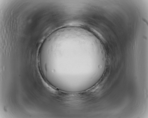X0000095941471200801110844
