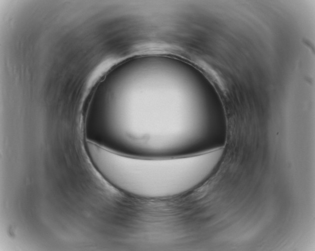 X0000095941472200801110844