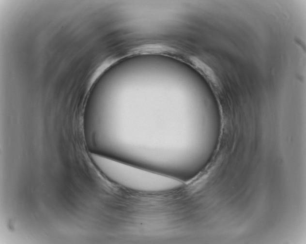 X0000095941473200801110844