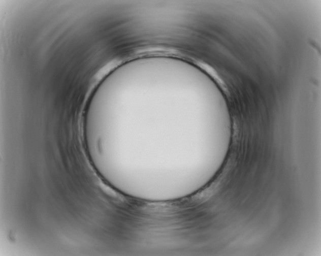 X0000095941474200801110844