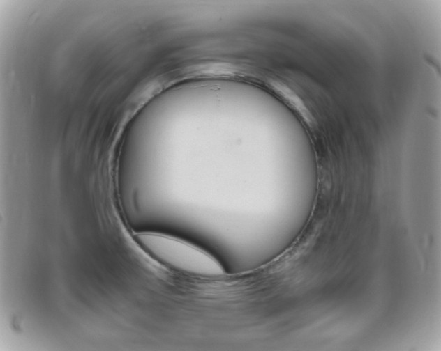 X0000095941475200801110844