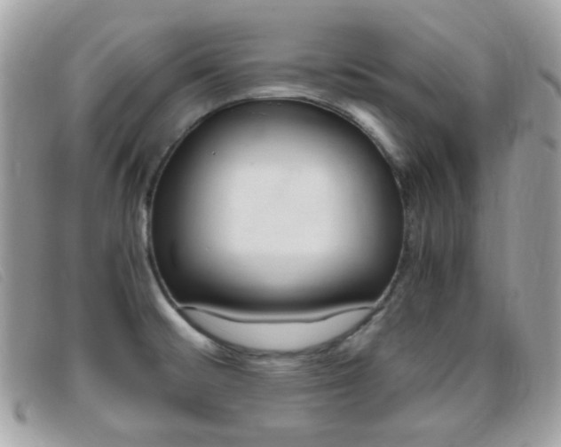 X0000095941476200801110844