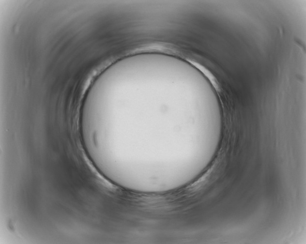 X0000095941477200801110844