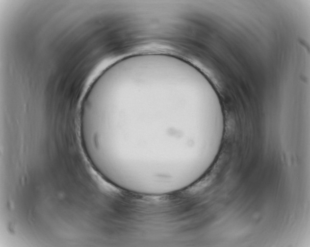 X0000095941478200801110844