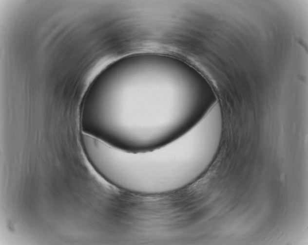 X0000095941479200801110844