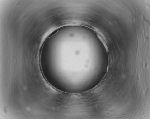 X0000095941480200801110844