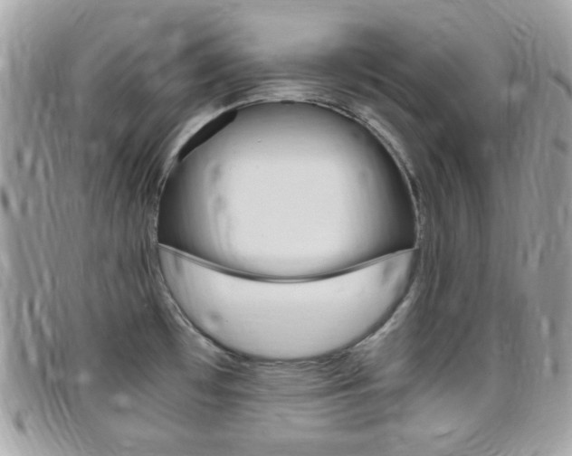 X0000095941481200801110844
